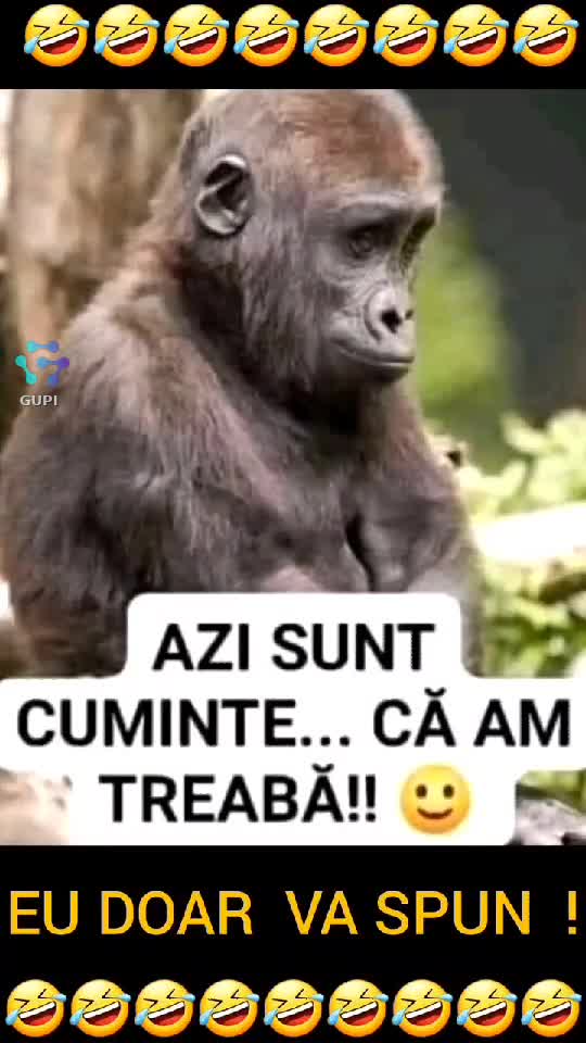 Video de @gupiuser156683