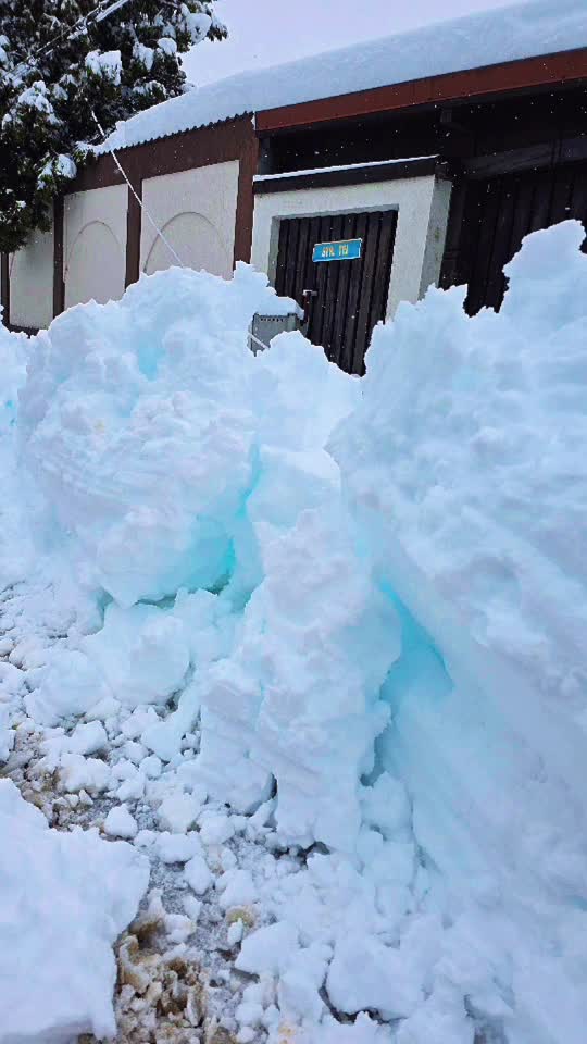 blue snow