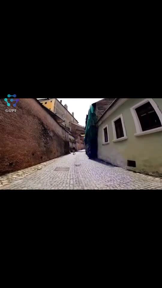 Video de @FLRica06