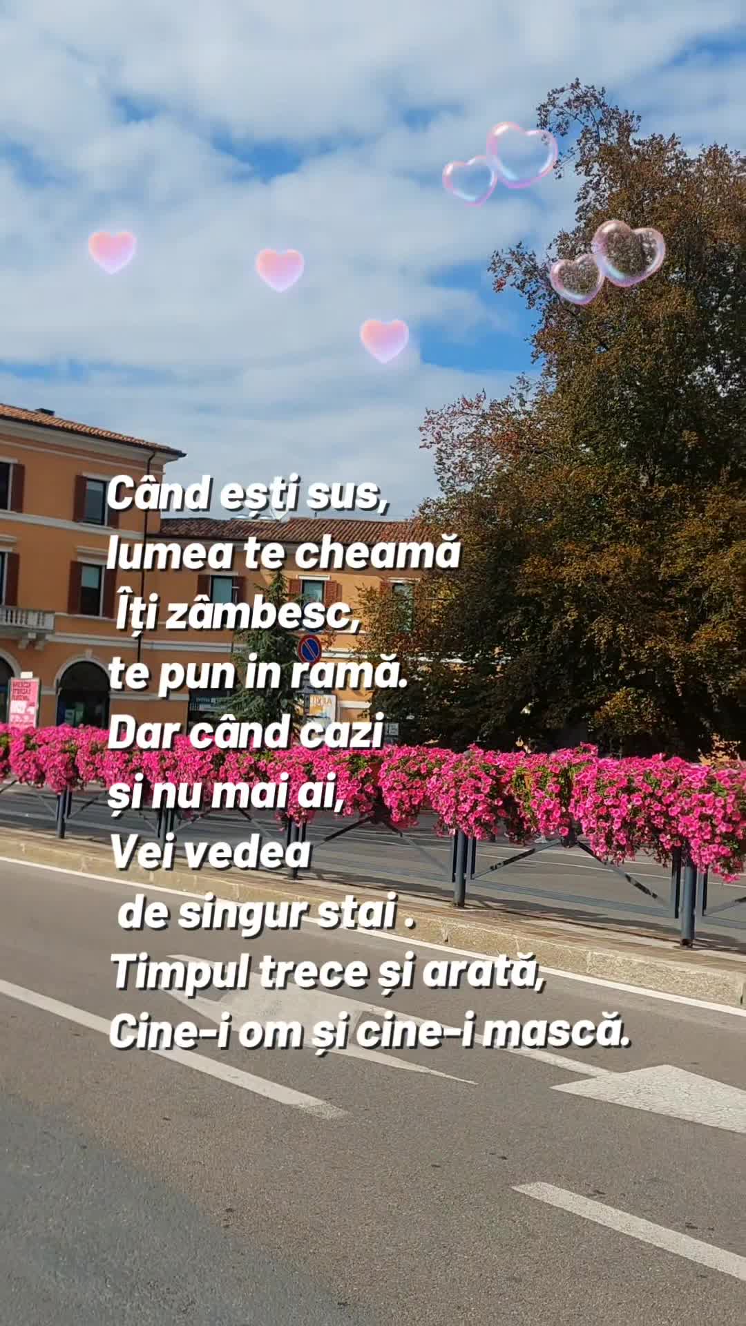 Video de @🍁Anamaria🍁