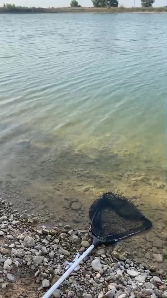 #fishing