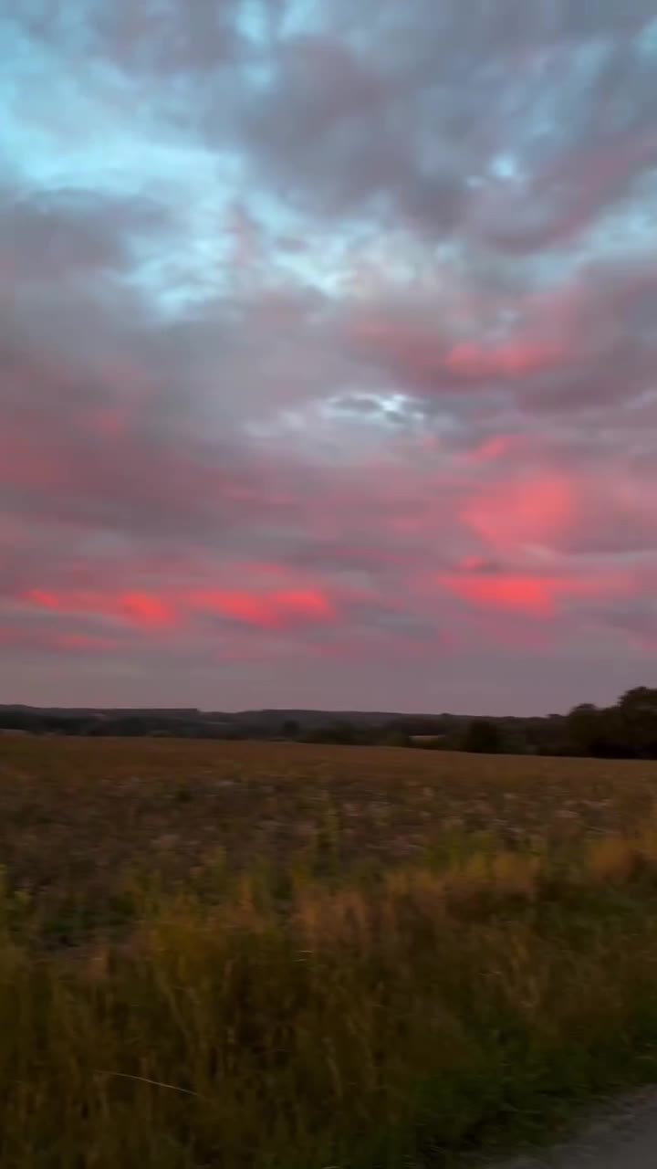 Video de @gupiuser52529