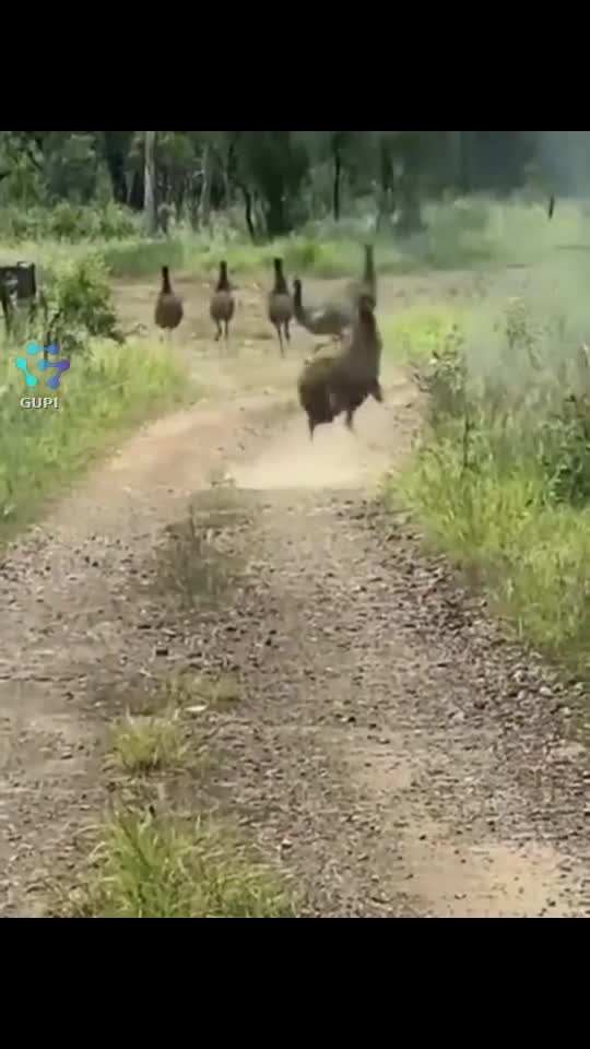 🤣