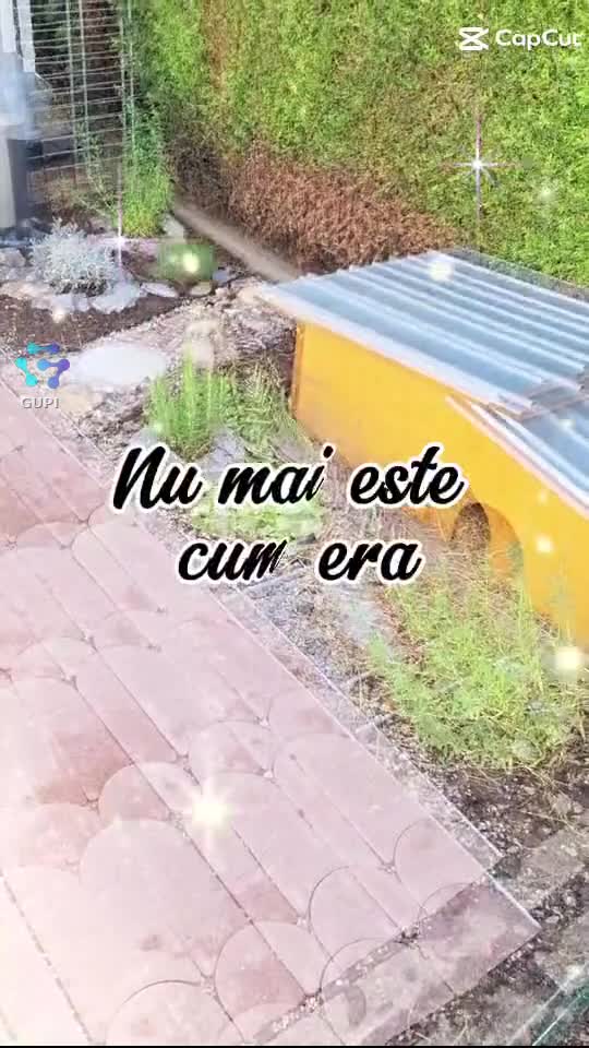 Video de @@🦋Tyna🦋