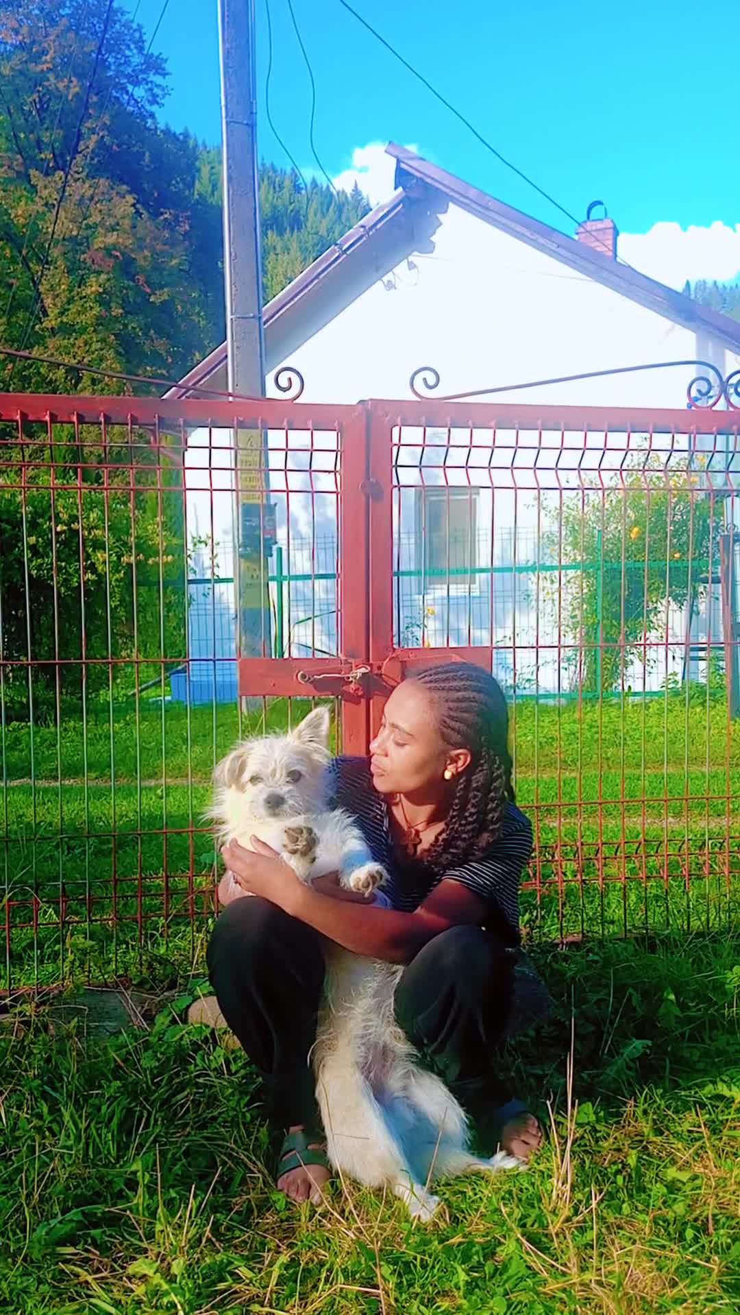 my little dog😍😍😍
