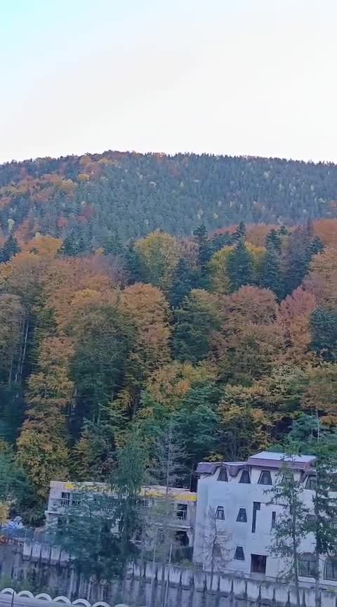 Slănic Moldova
