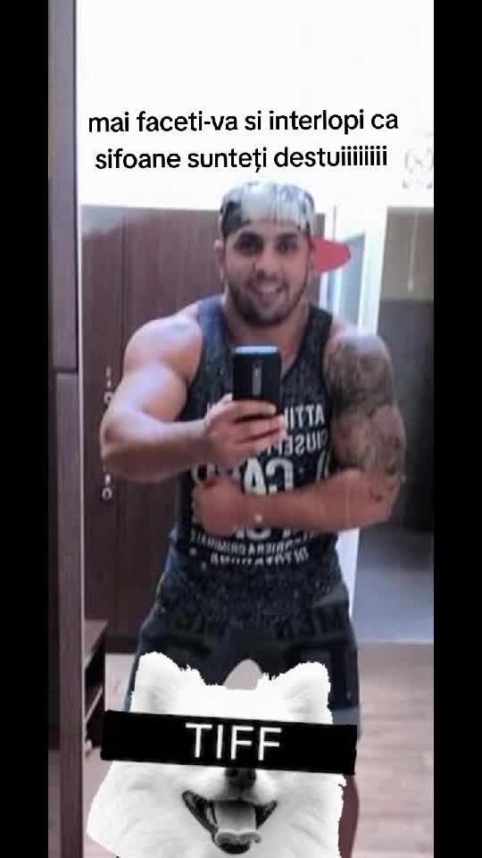 no pai no gain