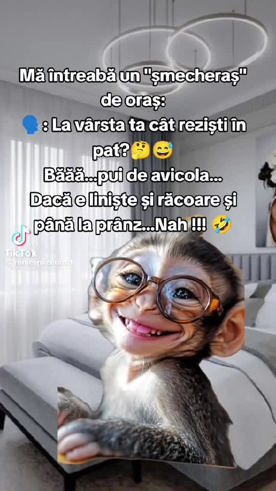 😂😂🤣