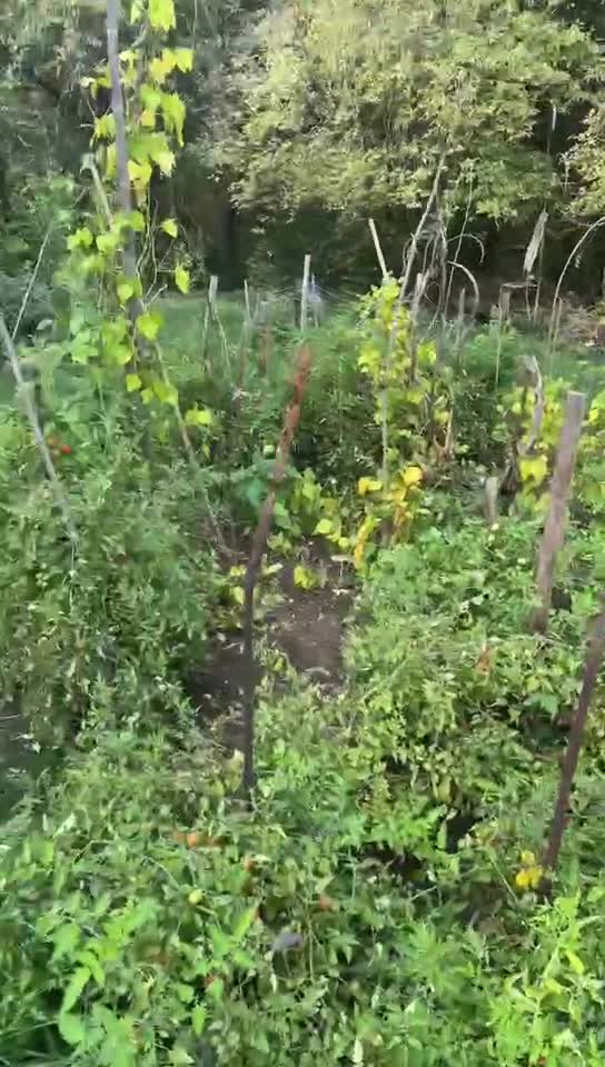 Video de @🇨🇭Vasile1805🇧🇪