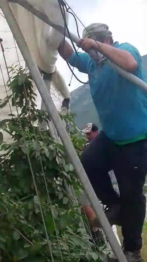 Video de @gupiuser150890