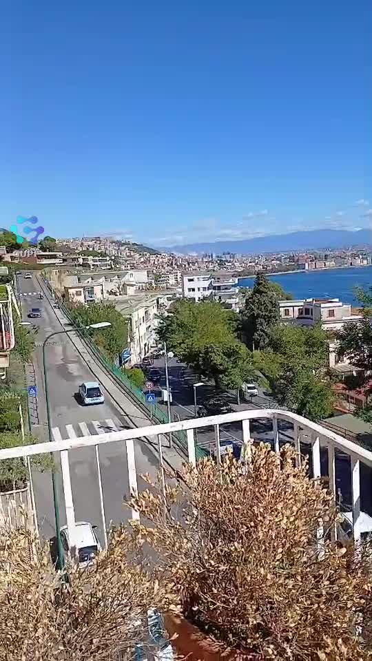 Video de @gupiuser267243