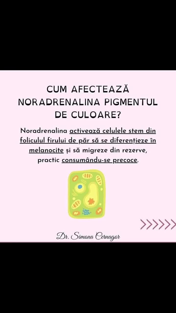 Video de @launermedical
