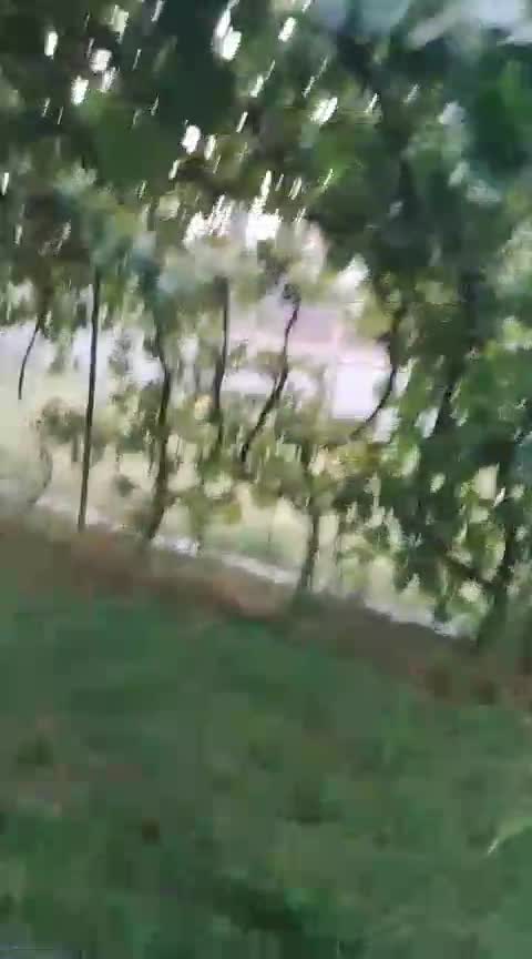 Video de @gupiuser887890