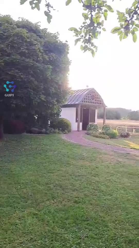 Original Sound - Pătrașcu Andree