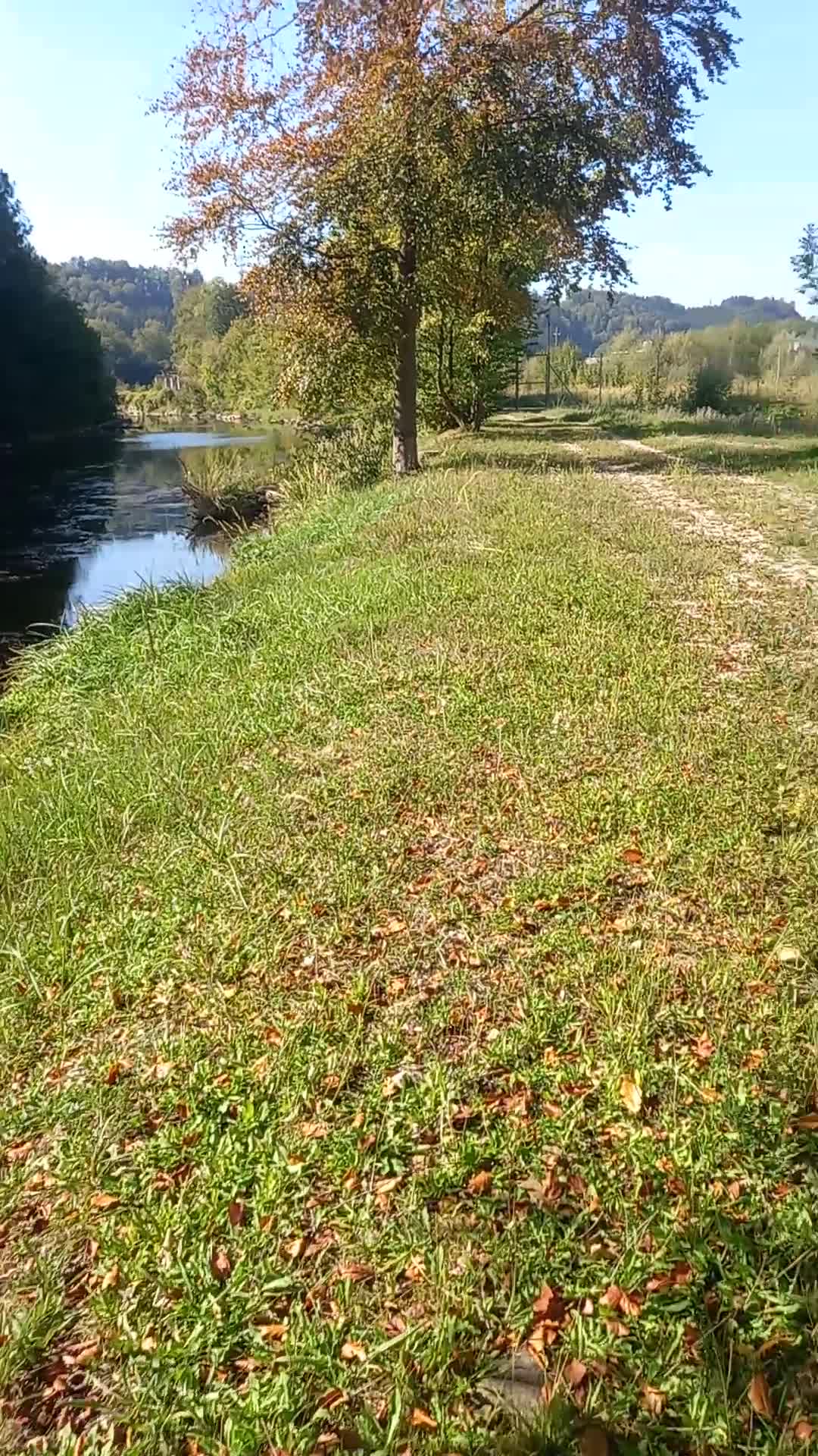 Video de @gupiuser788137
