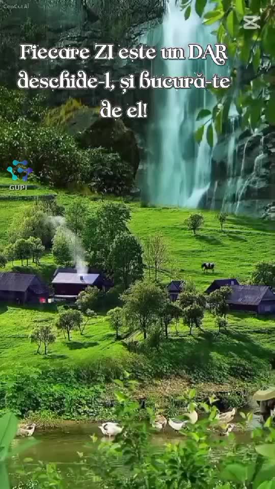 Video de @gupiuser86835