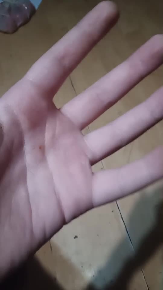 POV:nu mai ai biscuiti MAIA Cu Miere