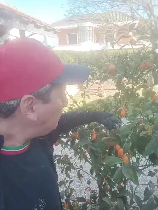 bune buneeee