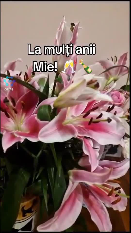 Video de @gupiuser359908