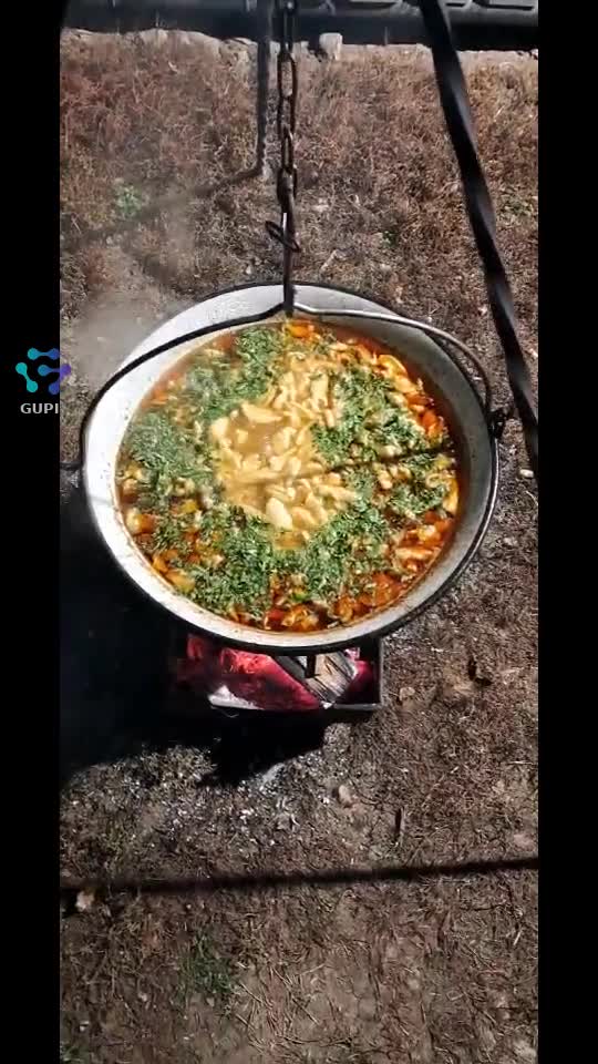bograci