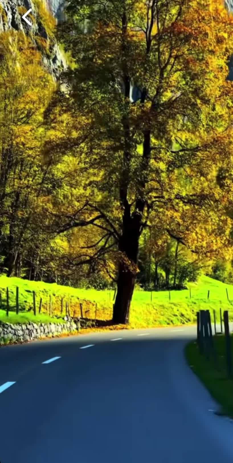 Video de @🇨🇭Vasile1805🇧🇪