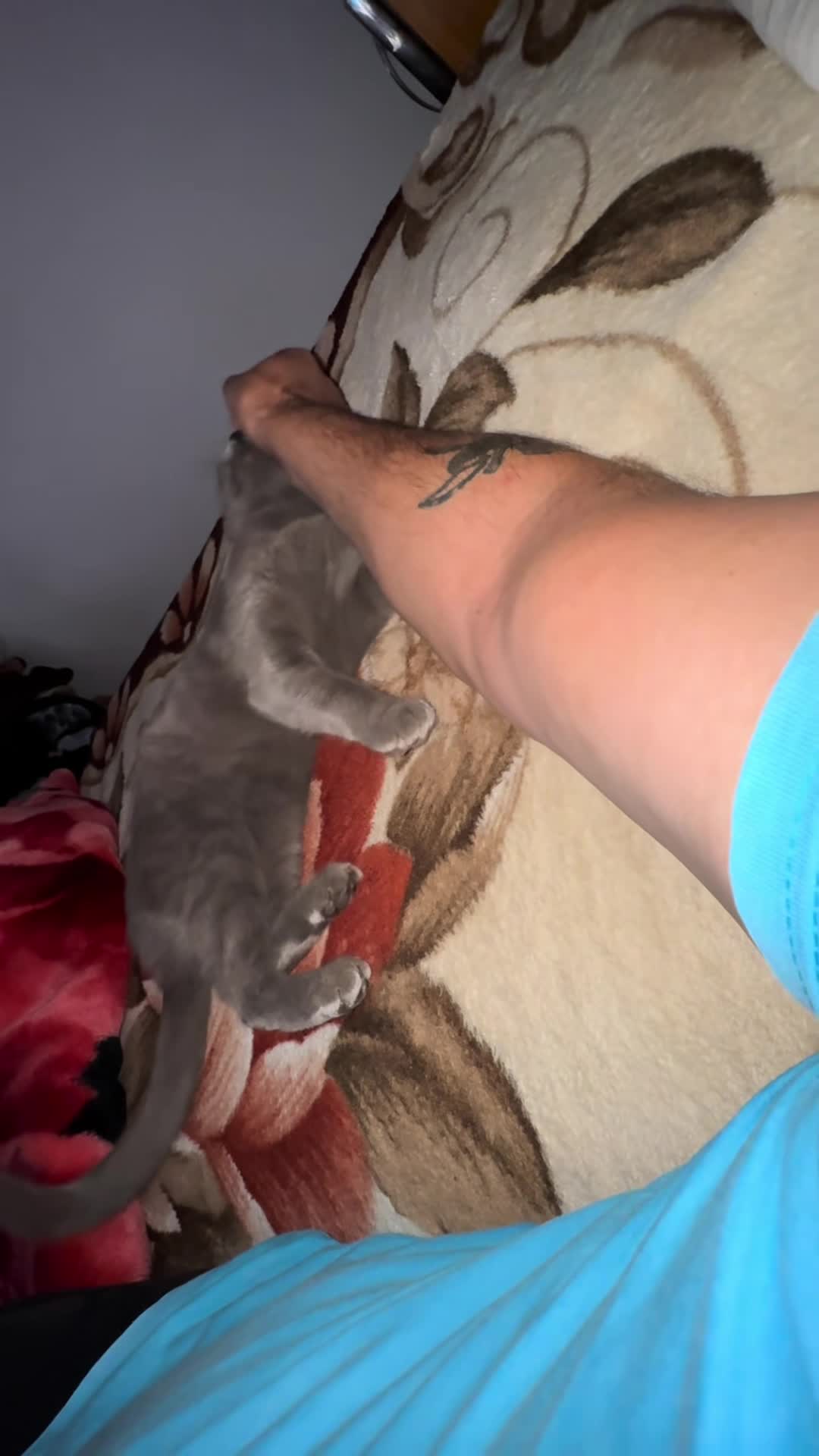 @paraschivhotul🥰🥰