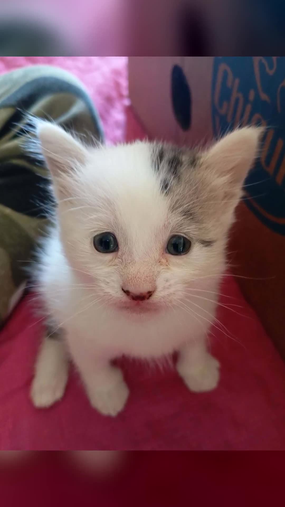 💜