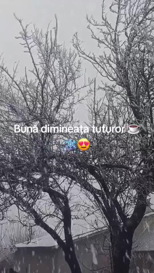 Bună dimineața tuturor ☕️☕️☕️☕️☕️🥰🥰🥰🥰🥰🥰