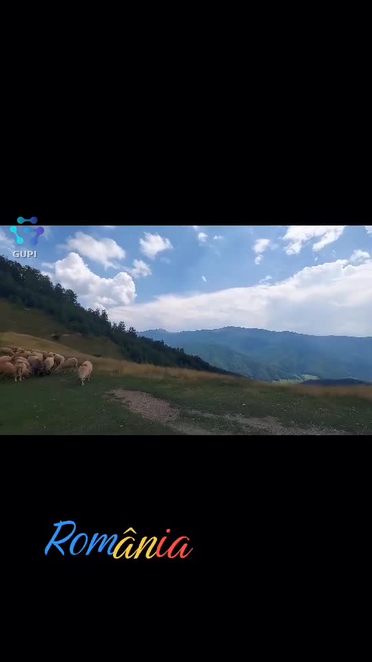 Video de @FLRica06