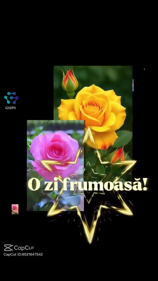 Video de @NinelaNinela🙏♾️🙌🤍🕊♾️