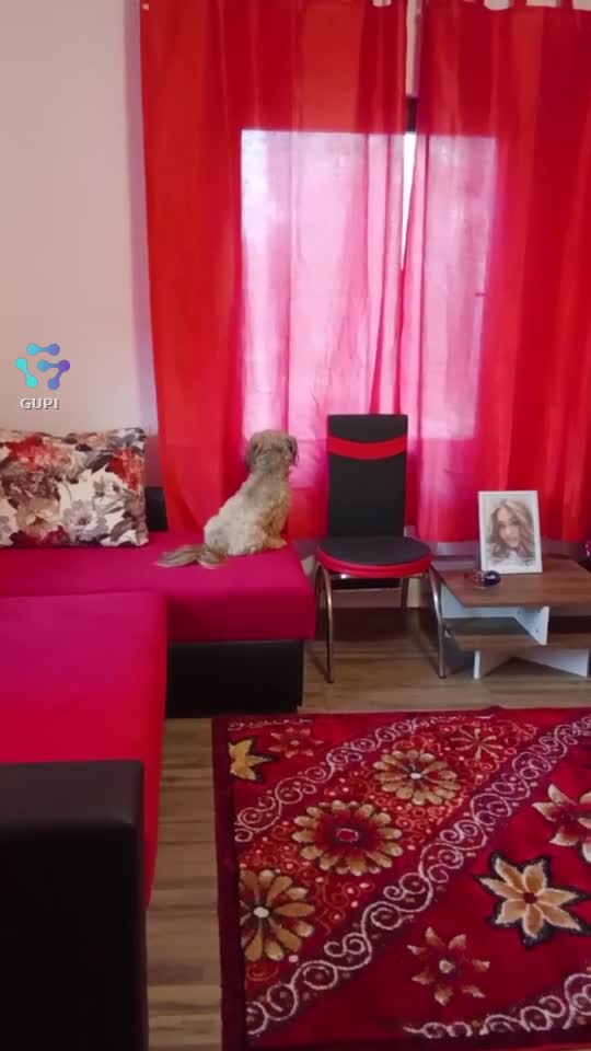 Sufletul meu ♥️
