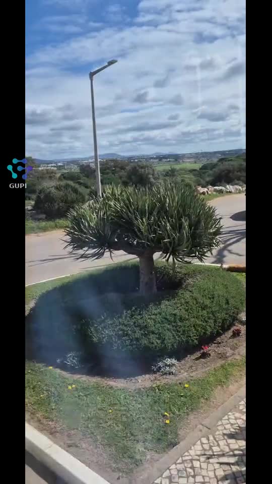 Video de @gupiuser320053