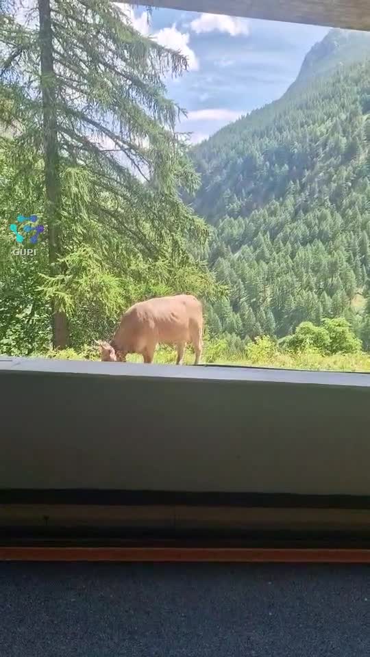 Elveția