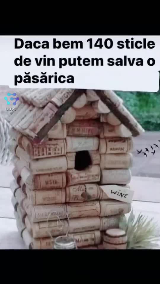Video de @gupiuser144503