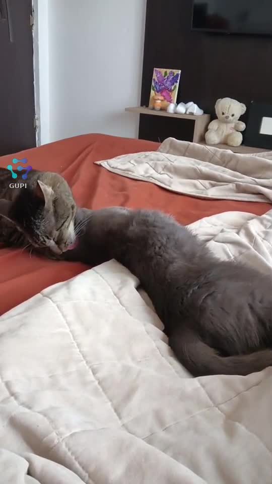 Video de @iflamer