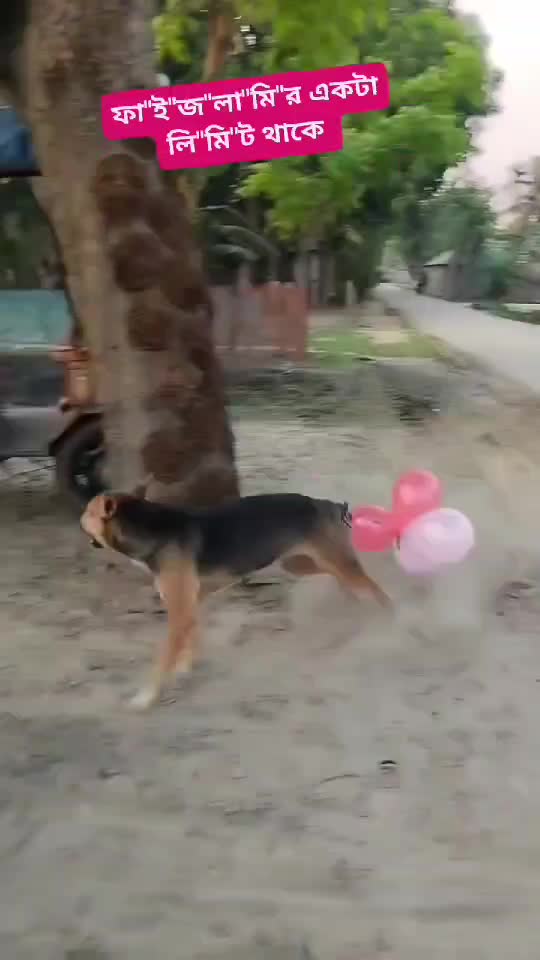😂😂😂😂😂😂😂😂