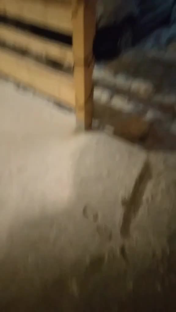 ăcat🤣🤣🤣🤣