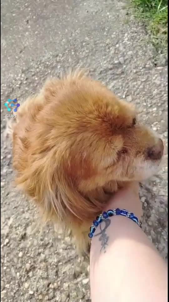 ❤️🤗❤️🤗