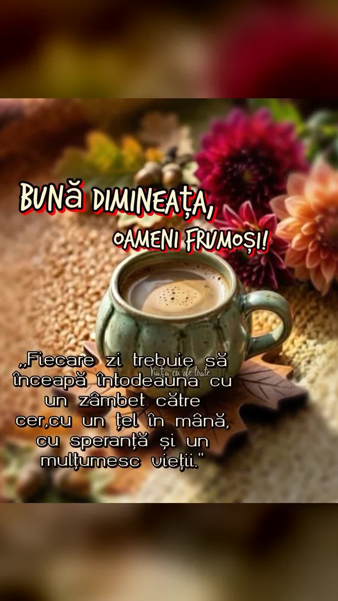 Video de @gupiuser1051259