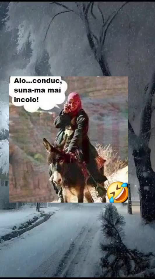🇷🇴🤪🇷🇴#🇷🇴🤣🤣