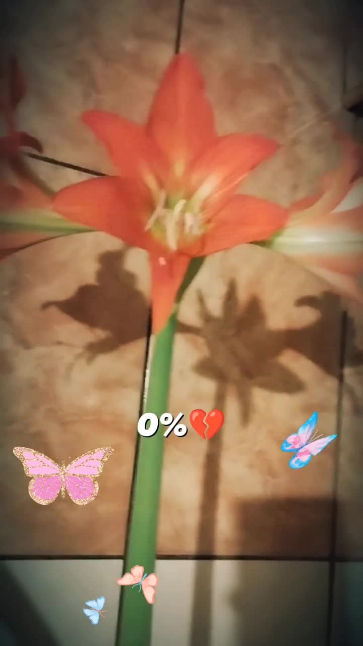 #floare