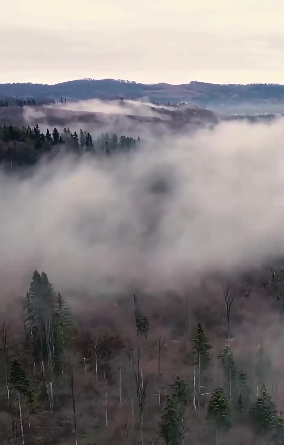 Video de @KLAUDIA