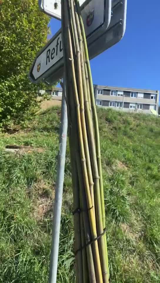 Video de @🇨🇭Vasile1805🇧🇪