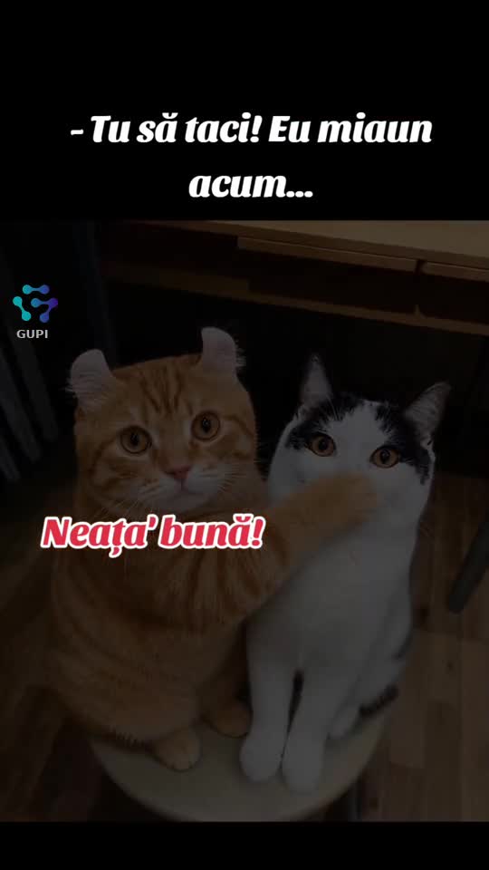 neața' bună!...☕