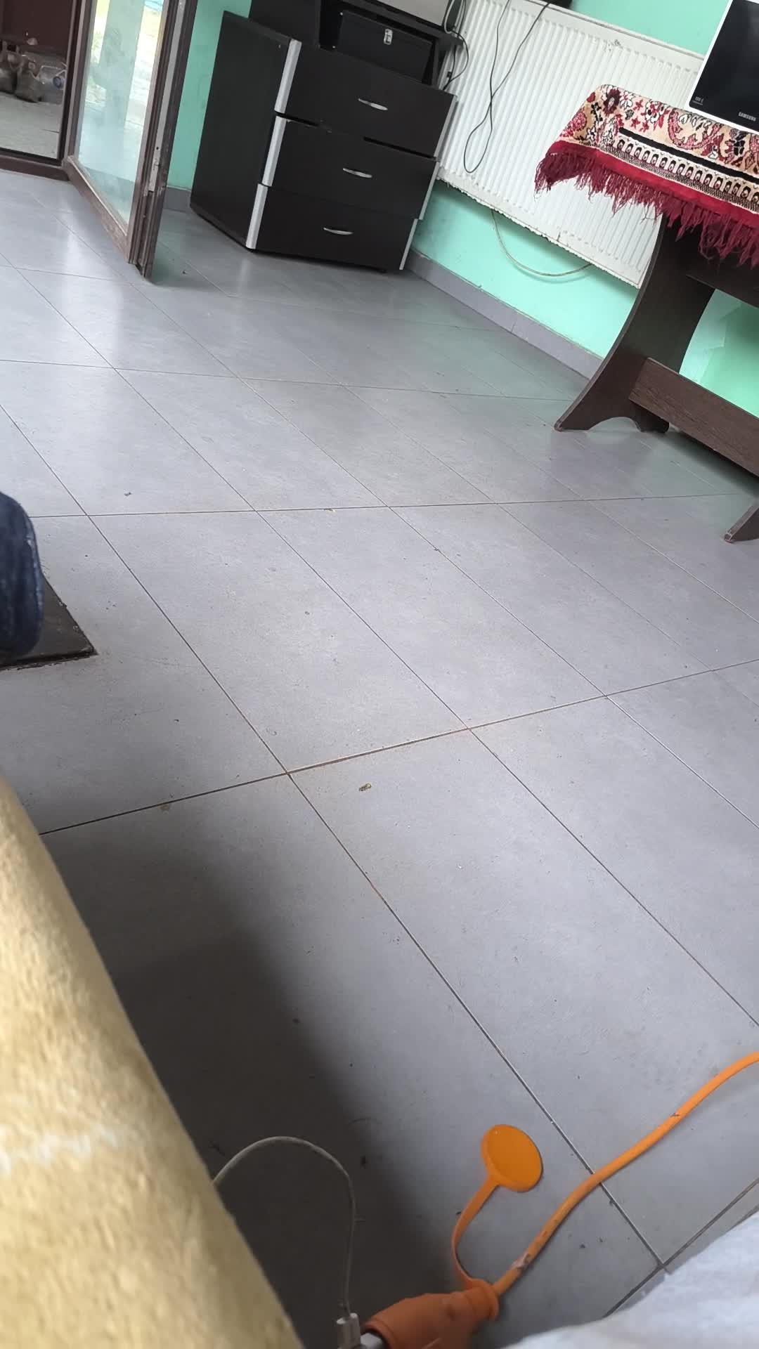 Video de @gupiuser156736