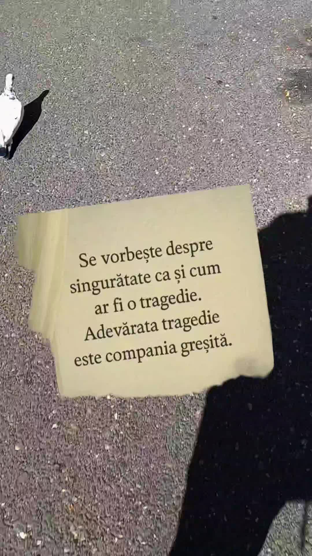 fyp...nu înseamnă tragedie...☝️
