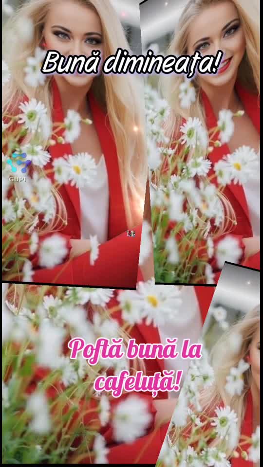 Video de @gupiuser167580
