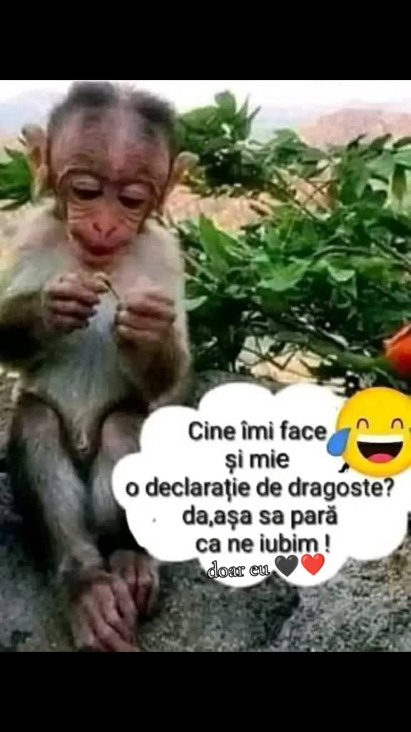 Video de @gupiuser892235