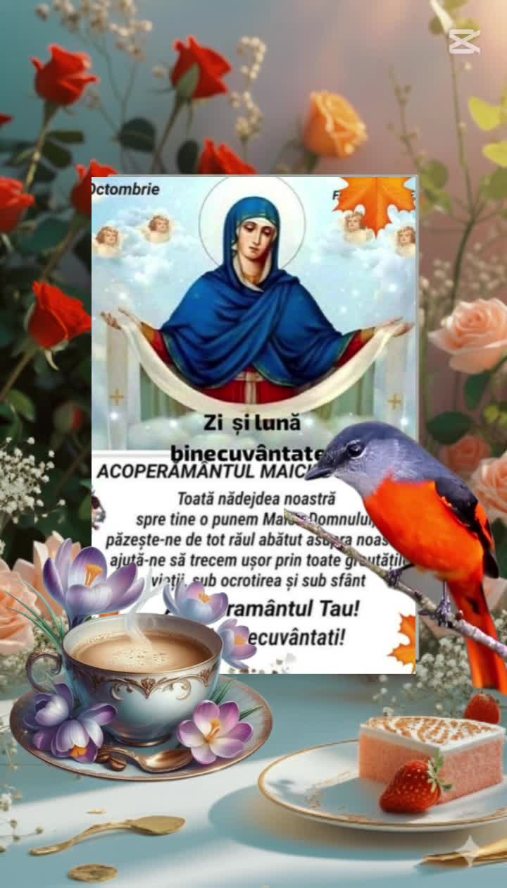 Video de @NinelaNinela🙏♾️🙌🤍🕊♾️