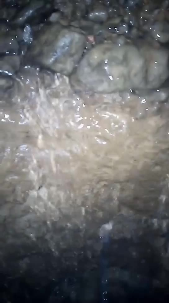 Video de @gupiuser157197